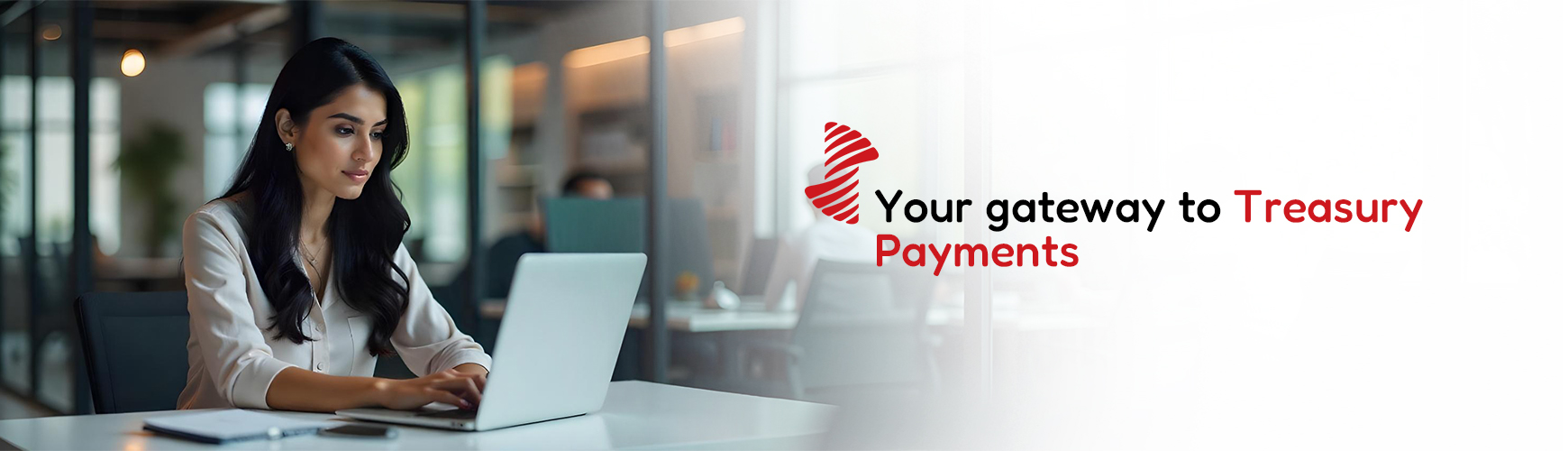 Treasury Payments  desktop banner